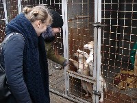 Натисни для збільшення ФОТО 3