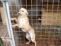 Натисни для збільшення ФОТО 4